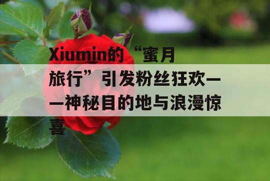 Xiumin的“蜜月旅行”引发粉丝狂欢——神秘目的地与浪漫惊喜